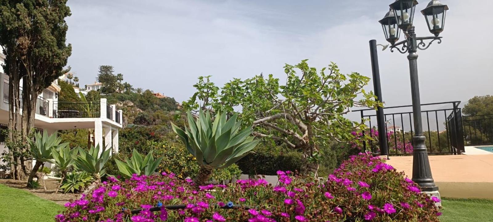 살로브레나 La Torrecica, Con Caracter Andaluz Y Magnificas Vistas Al Mar Y Sierra Nevada 빌라 외부 사진